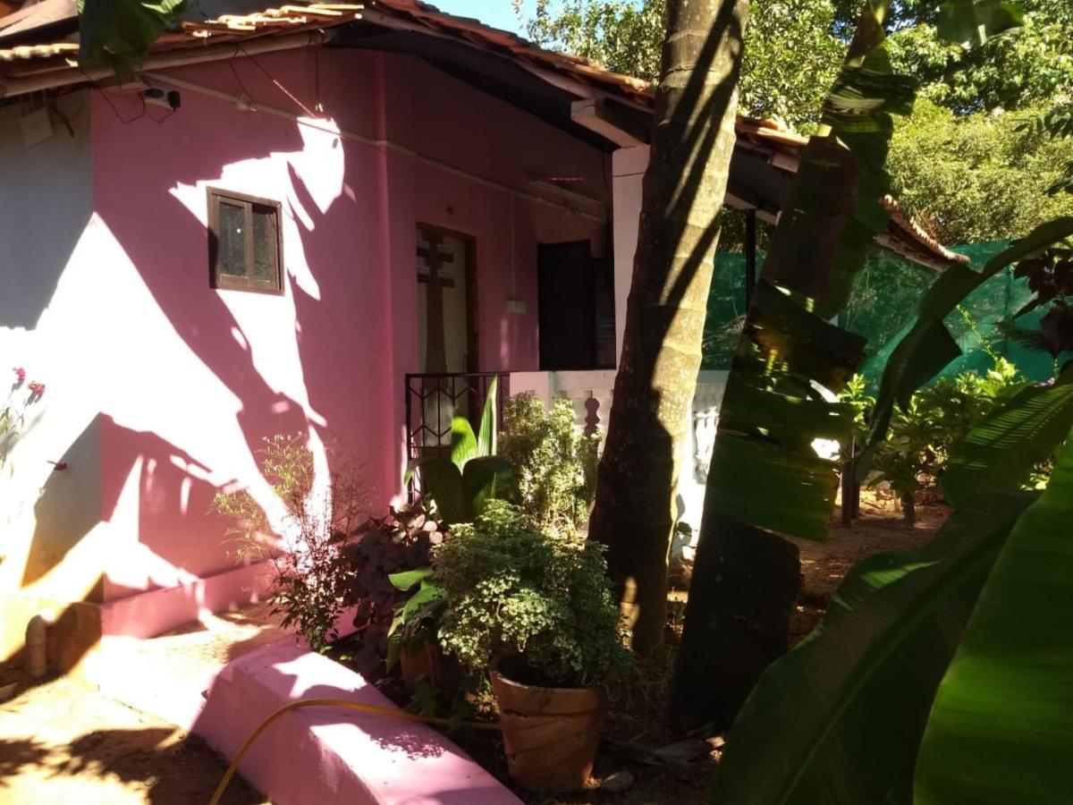 Appartement Agonda Pink House à Canacona Extérieur photo